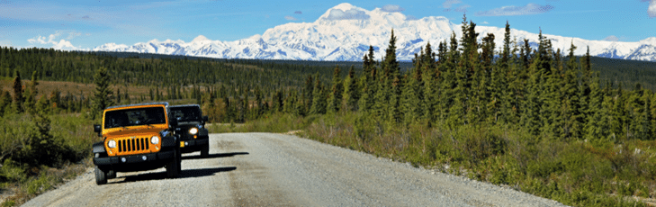 Yellow and black Jeeps on a gravel road with Denali mountain and forest in the background.