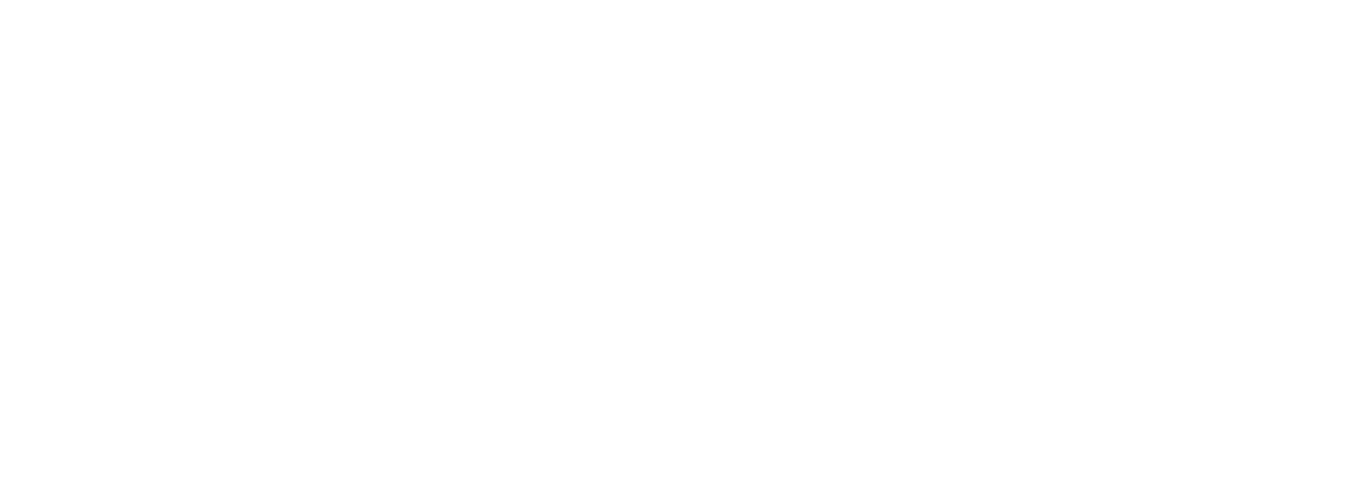 Capital Automotive Group logo in bold white text on a transparent background.